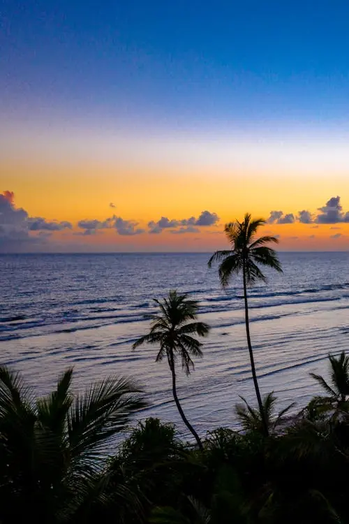 Maldives